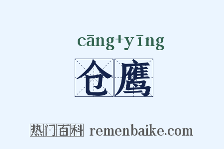 仓鹰是什么意思的图片